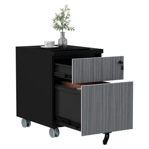 2 Drawer Mobile File Cabinet with Lock, Office Filing Cabinets for Under Desk, Small File Cabinet Fully Assembled Except Casters (2-Drawer, Gray)