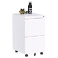 2 Drawer Mobile File Organizer, Lockable Metal Filing Storage