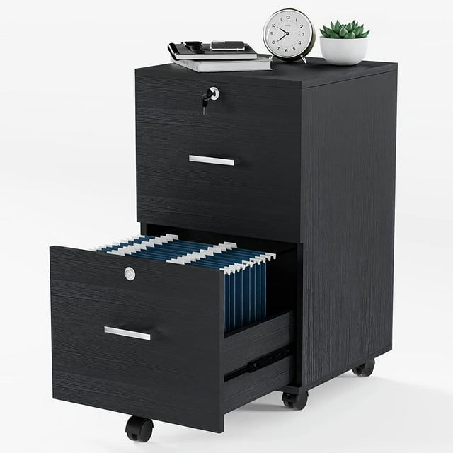2Drawer Small Rolling File with Lock, Wood Filing for