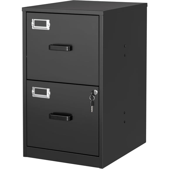BYNSOE 2 Drawer File Cabinet with Lock Vertical Filing Storage Cabinet Office Home Steel Vertical File Cabinets for Letter Size File Cabinet Locked,Assembly Required