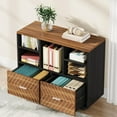 2Drawer Wood File Mobile Lateral Filing for Hanging