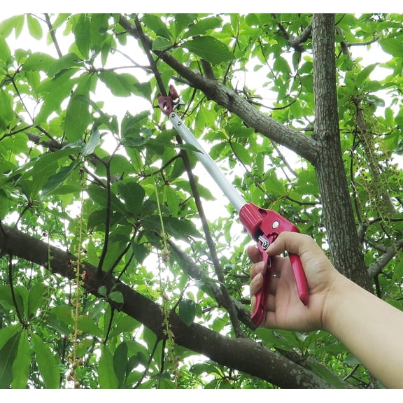 2 Feet Cut and Hold Tree Pruner, Rotation Pole Tree Trimming, Short Reach Fruit Picker, Branches Bypass Lopper
