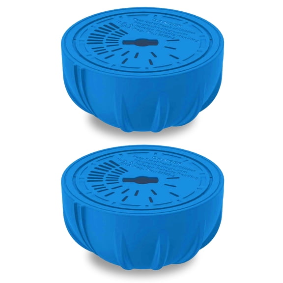 FROG Replacement Chlorine Cartridges for Use with Flippin FROG Floating Sanitizer System - Prefilled Cartridges Support Easy Pool Maintenance and Cleaner & Clearer Water - 2 Pack