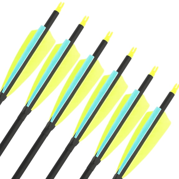 2 Fluorescent Yellow + 1 Sky Blue Carbon Arrows 80.3cm Feathered