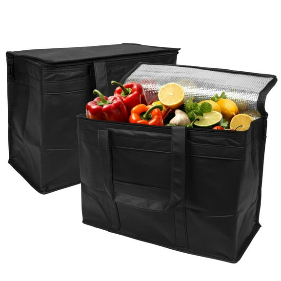 2 Foldable Insulated Shopping Bags 16x13x9 Washable Reusable Thermal Tote Bags