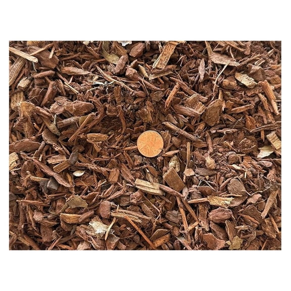 2 Gal. 3/16" - 5/8" Fir for Tree Soil Mix & Orchid Cultivation, Propagation, Seedling - Organic Additive (2GAL FIR )