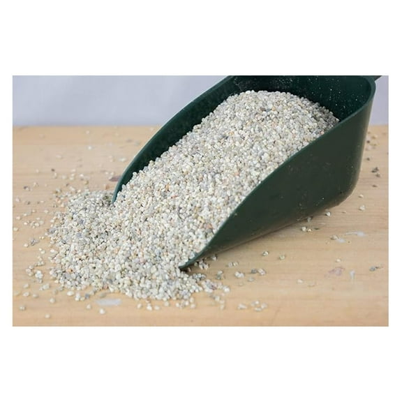 2 Gal. Coarse Sand for Tree, Cactus & , Carnivorous Plant Soil Mix (2GAL Sand)