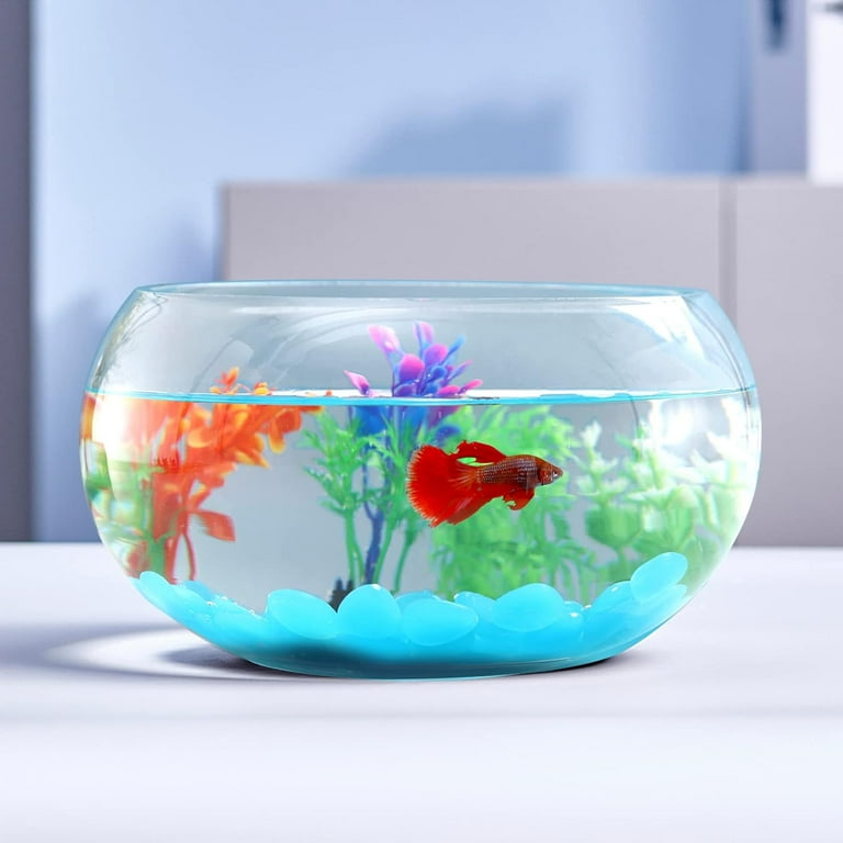 2 gallon glass fish bowl shop