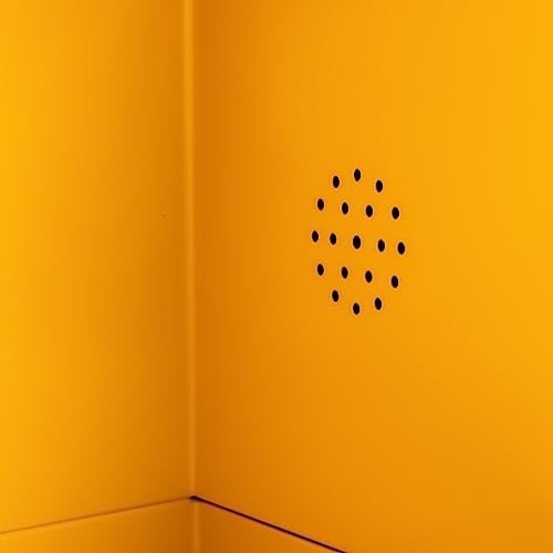 2 Gallon Safety Storage Hazardous Storage for Flammable Liquids