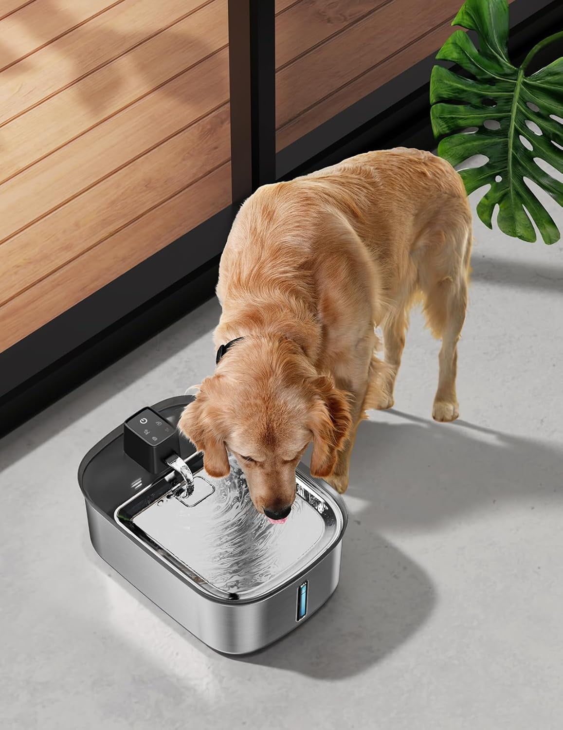 2 Gallon Stainless Steel Dog Water Fountain, Wireless Motion Sensor, Quiet Automatic Dispenser, Hands-Free Fresh Flow for Large Dogs & Multi-Pet Homes