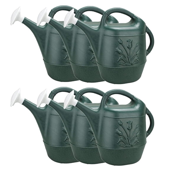 2 Gallon Watering Can - Hunter Green 1/Pkg Pkg/6