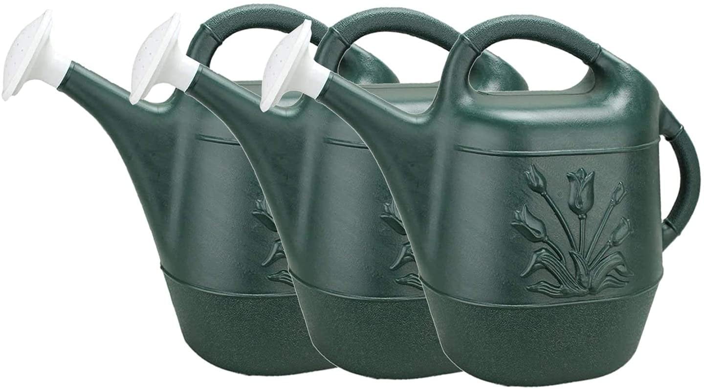 Hunter Green 2 Gallon Plastic Watering Can with Tulip Design