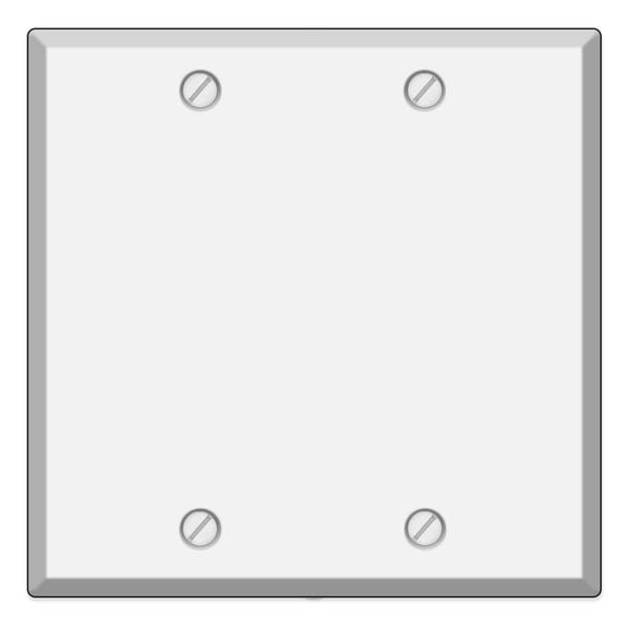 2-Gang Blank White Metal Wall Plate Cover, Made in USA, Standard Size Steel Blank Light Switch Cover, Cover Plate for Unused Outlets & Electrical Boxes, Matching Screws