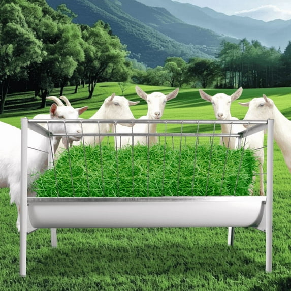 Heavy - Duty Galvanized Two - Zone Goat Feeder Trough, Corrosion - Proof, Cut - Safe, 4 - Step Quick Setup for Barn, Ranch with Cow Use