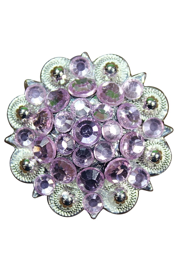 2 Hilason Western Berry Conchos Glass Rhinestones Bling 1.5" Tack cowgirl