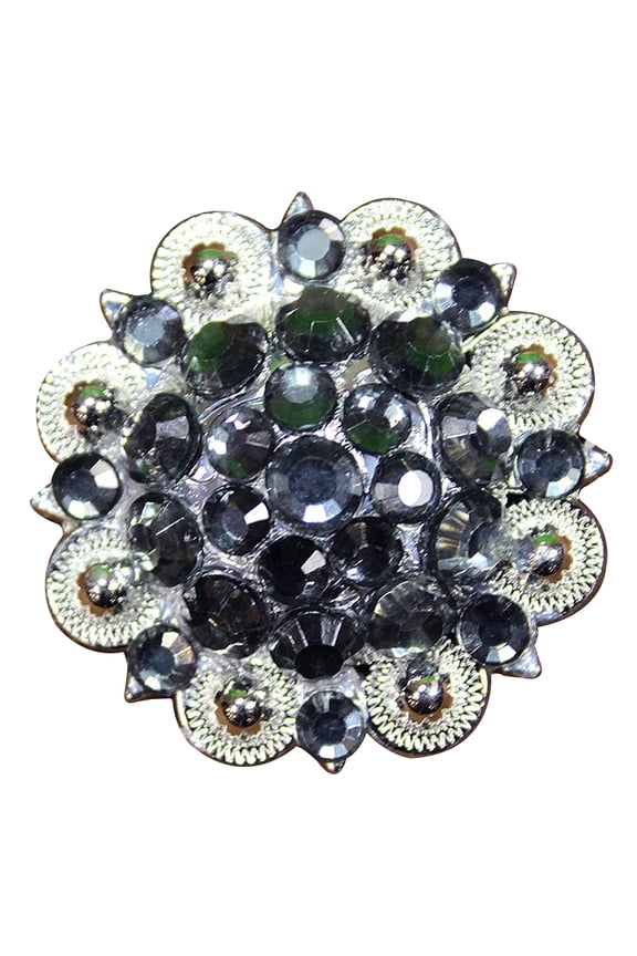 2 Hilason Western Berry Conchos Glass Rhinestones Bling 1.5" Tack cowgirl