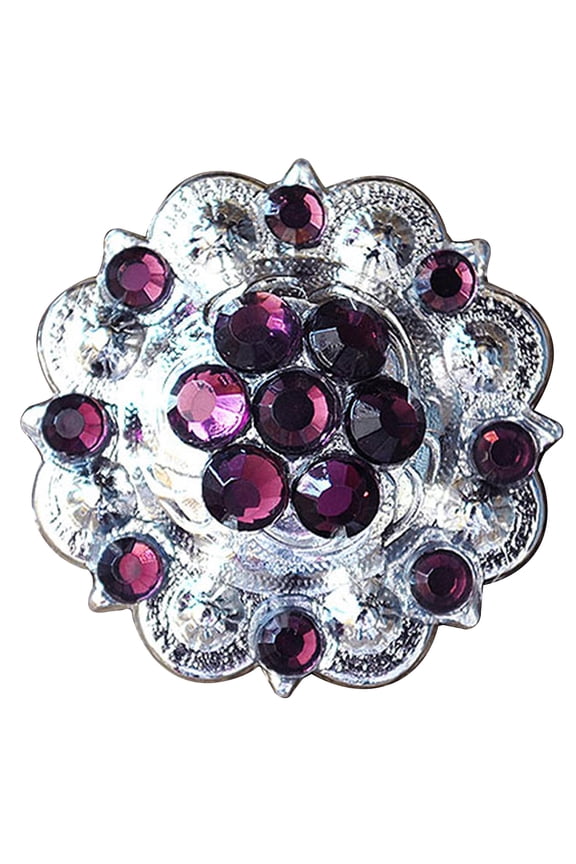 2 Hilason Western Berry Conchos Glass Rhinestones Bling 1.5" Tack cowgirl