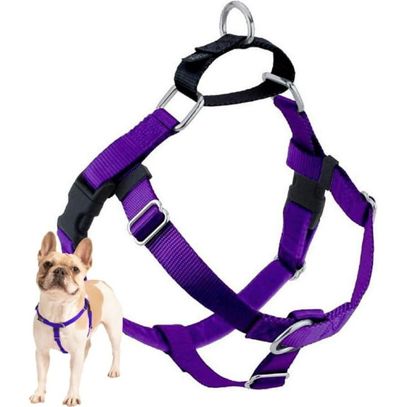 2 Hounds Design Freedom No Pull Dog Harness 1" LG Purple