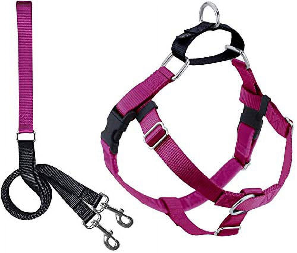 Freedom store walk harness