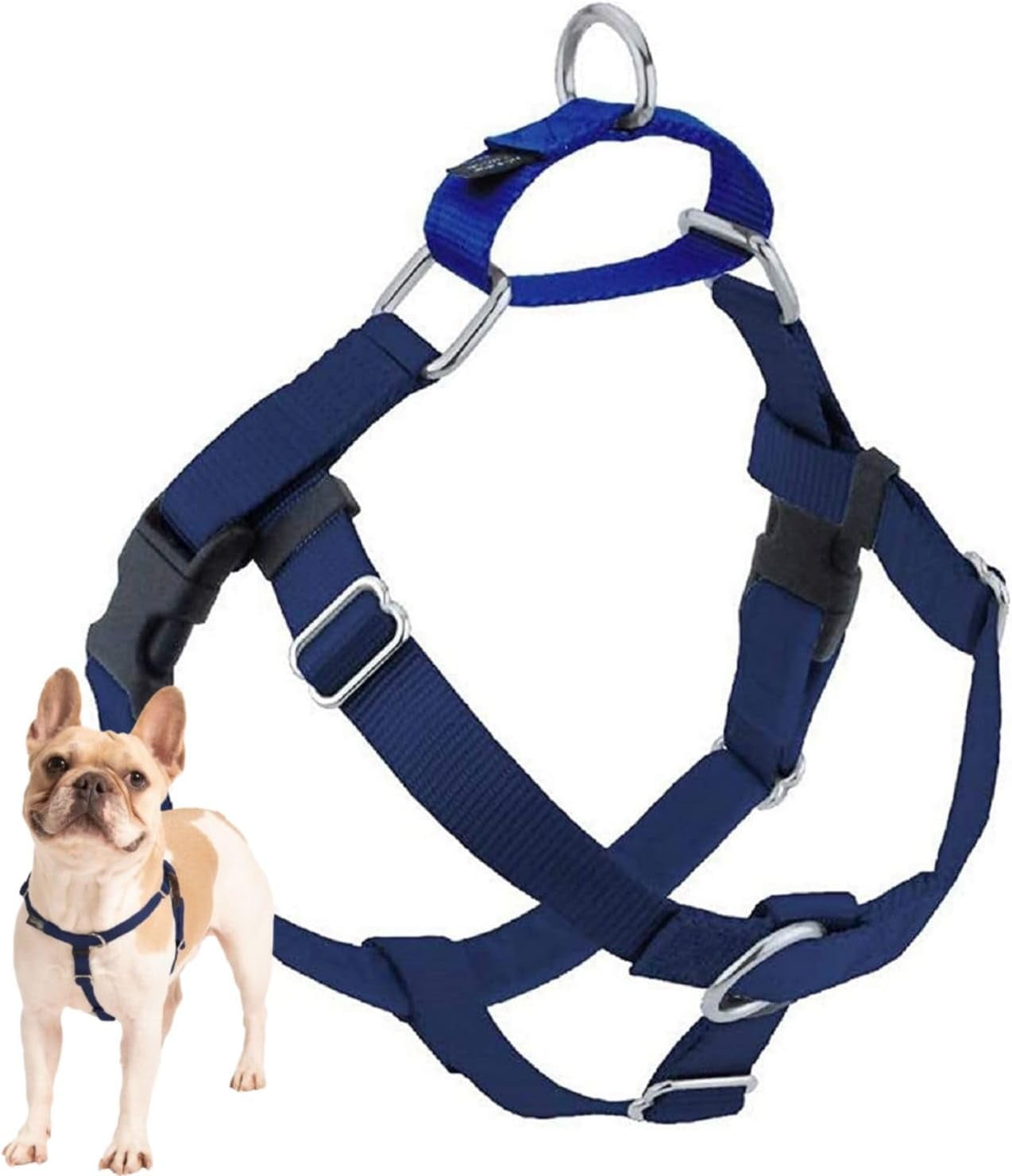 Hounds Design Freedom No-Pull Dog Harness ONLY, Large 1