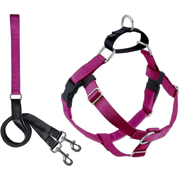 2 Hounds Design Freedom No Pull Dog Harness and Leash Set | Comfortable Control for Easy Walking | Small, Medium & Large Dogs | 5/8" SM Raspberry