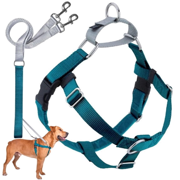 2 Hounds Design Freedom No Pull Dog Harness | Comfortable Control for Easy Walking |Adjustable Dog Harness and Leash Set | Small, Medium & Large Dogs | Made in USA | Solid Colors | 5/8" MD Teal