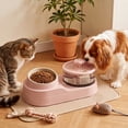 thumbnail image 1 of 2-IN-1 Cat Water Fountain with Food Bowl, Plastic Automatic Water Dispenser, Dual Design Pet Drinking Fountain for Cats Dogs Indoor Daily Drinking and Feeding, 1 of 4