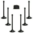 thumbnail image 1 of 2 Inch Black Light Duty Stanchion & Chain Kit (6 Pk), 1 of 9