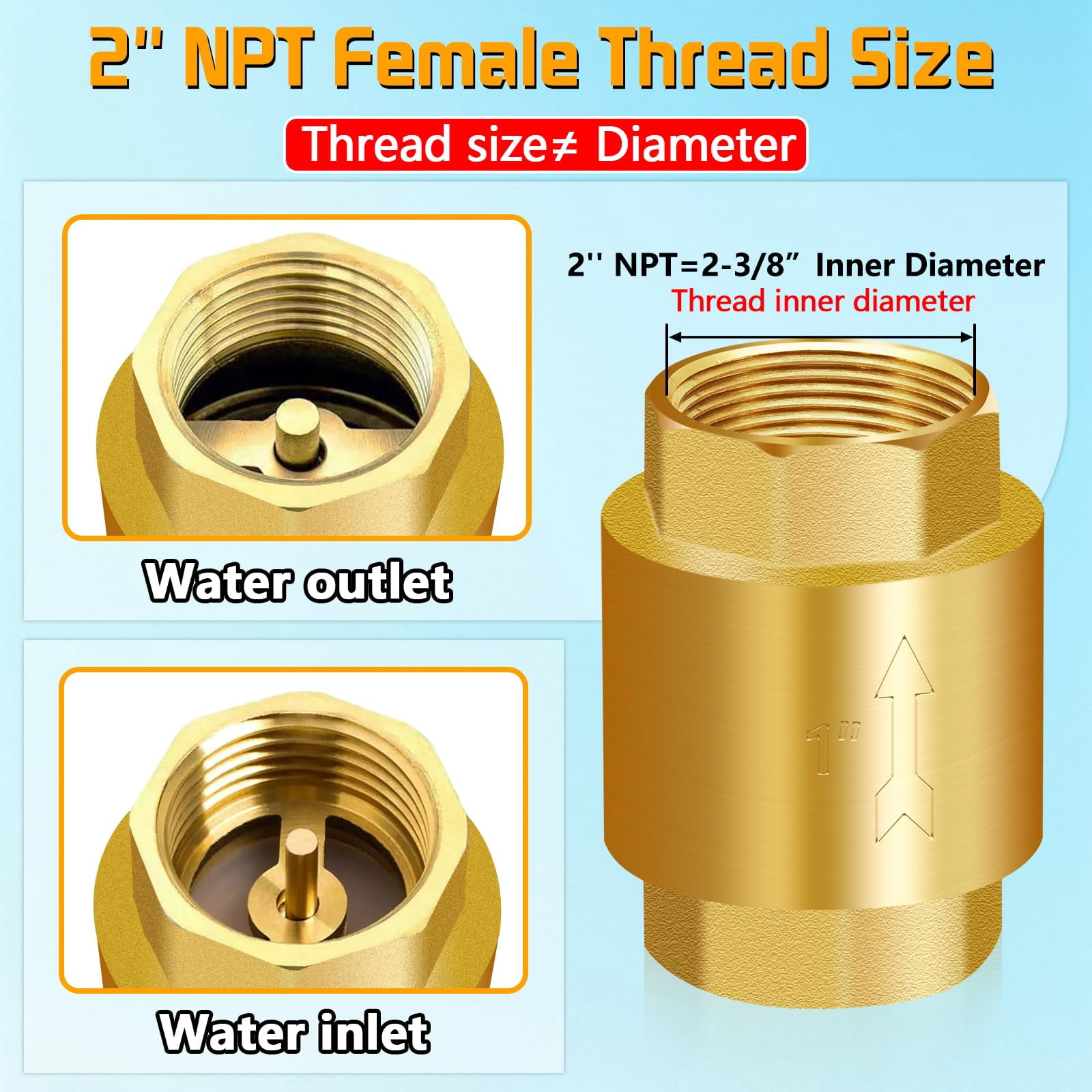 2 Inch NPT Brass Check Valve with Stainless Steel Spring for Water ...