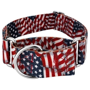 Country Brook Petz® HossFit Wide Martingale Dog Collar (Patriotic Tribute, Medium)