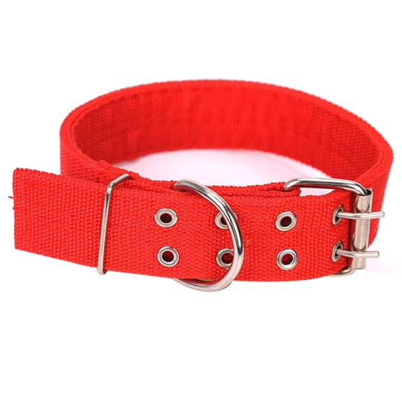 2-Inch Wide Military Style Adjustable Dog Collar with D-Ring and Buckle, 2-Line Design