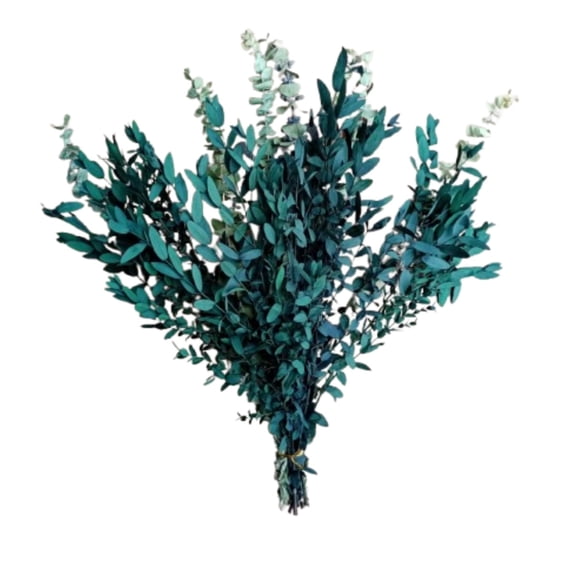 2 Kinds Eucalyptus Flowers Bundles for Shower, Real Dry Eucalyptus Leaves for Home Wedding Decor, Eucalyptus Green Plant Shower Hanging(17in-1Pack)