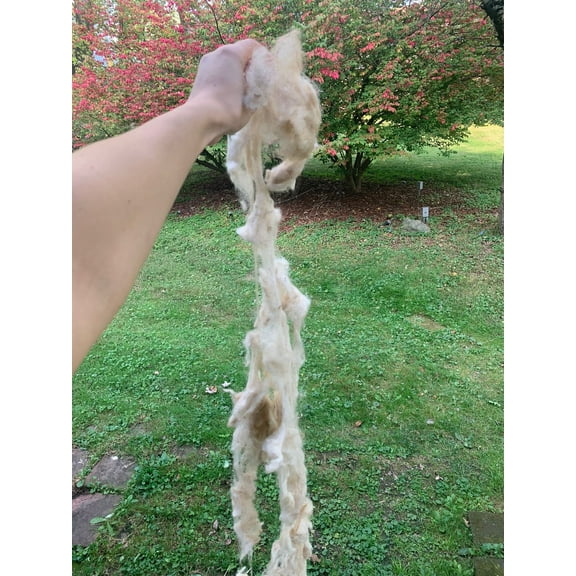 2 LB. 100% Natural Sheep Wool Hand Washed - Very Soft - Long Fibers