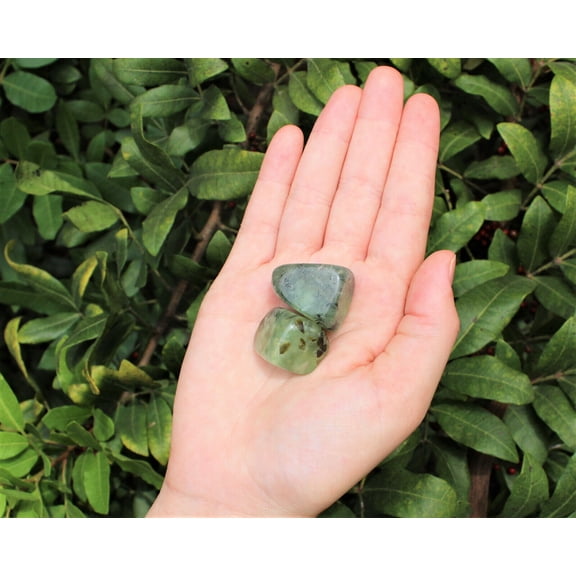 2 Large Prehnite with Epidote Tumble Stone (Crystal Healing Reiki Tumbled)