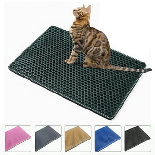 https://i5.walmartimages.com/seo/2-Layer-Cat-Litter-Mat-Trapper-Green-Traps-Box-Soft-Kitty-Paws-Honeycomb-Double-Layer-Helps-Waste-Less-Floors-Size-21-X-14_e9f215c0-abda-4c89-a381-17f0e846433e.701333a6479d682d5c15fc783a8bdb86.jpeg?odnHeight=320&odnWidth=320&odnBg=FFFFFF