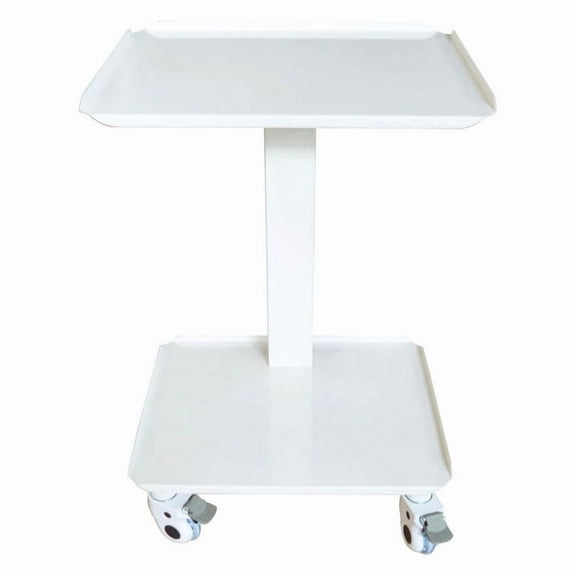 2 Layers All Metal Mobile Trolley Cart Beauty Salon Trolley Mobile Equipment White Utility Cart