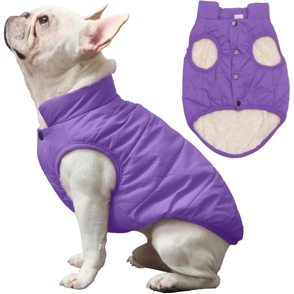 2 Layers Fleece Lined Warm Dog Jacket for Puppy Winter Cold Weather,Soft Windproof Small Dog Coat 1Pack