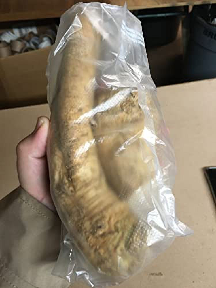 2 Lb. Horseradish Root. Great for Planting! Enjoy All Its Health