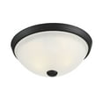 thumbnail image 1 of 2-Light Ceiling Light in Matte Black, 1 of 5