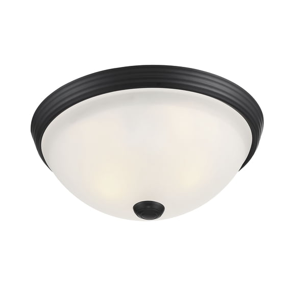 2-Light Ceiling Light in Matte Black