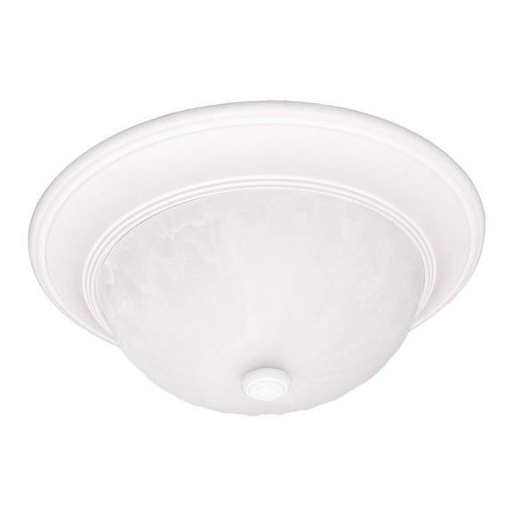 2-Light Ceiling Light in Matte White