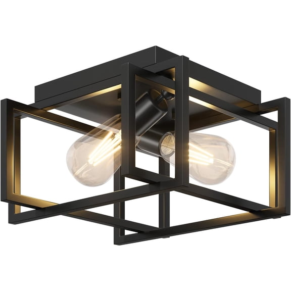 2-Light Flush Mount Ceiling Light Fixture, Industrial Black Metal Light, Modern Rectangle Close to for Hallway, Kitchen, Entryway