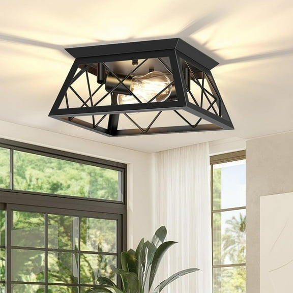 2-Light Flush Mount Ceiling Light Fixtures Farmhouse Kitchen Light Fixtures Ceiling Mount for Kitchen, Dining Room, Living Room, Entryway