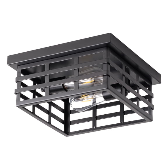 2-Light Industrial Caged Metal Ceiling Light, Modern Coastal Ceiling Light Fixture for Kitchen Bedroom Farmhouse Dining Room