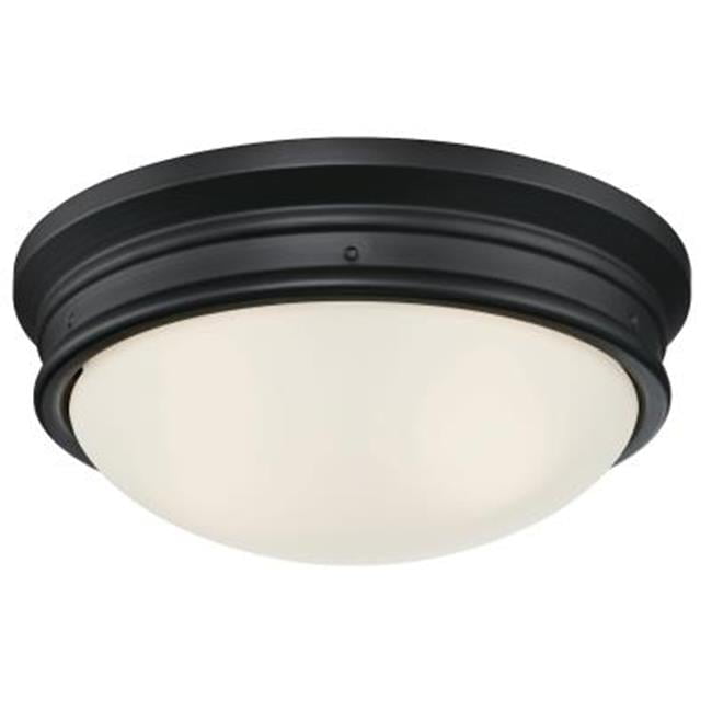 2 Light Meadowbrook Indoor Flush-Mount Ceiling Fixture, Oval