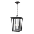 thumbnail image 1 of Z-Lite Seoul 2 Light Clear Glass Aluminum Outdoor Chain Mounted Pendant in Black, 1 of 2
