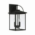 thumbnail image 1 of 2 Light Outdoor Wall Lantern In Farmhouse Style-16.5 Inches Tall And 9.5 Inches Wide Capital Lighting 948021Bk, 1 of 6