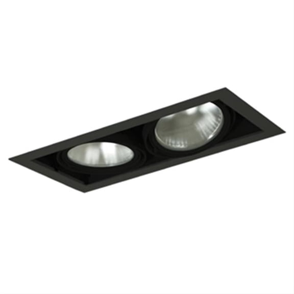 2-Light Par38 Double Gimbal