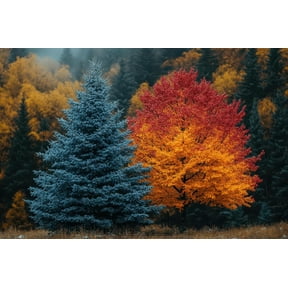 2 Live Tree Plants - One Red Oak Seedling + One Blue Spruce Seedling