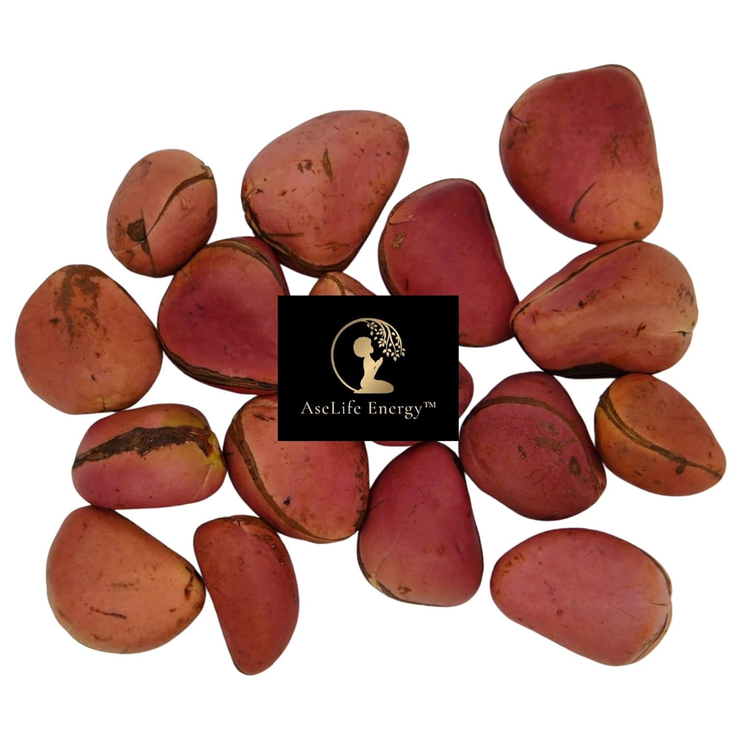2 Lobe Kola Nuts 16 OZ JUICY DIVINATION SPIRITUAL
